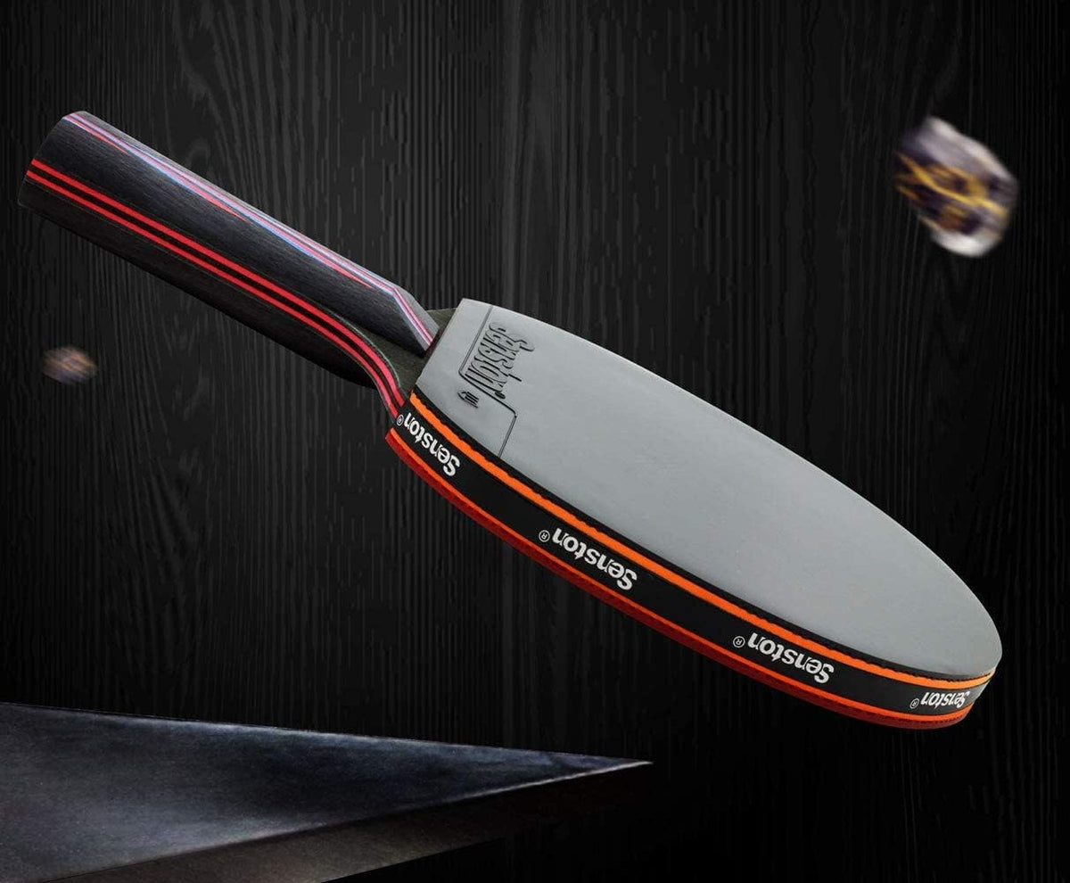 Professional Table Tennis Paddles Advance Intermediate Ping Pong Paddles Set of 2, Table Tennis Racket with Carry Case…