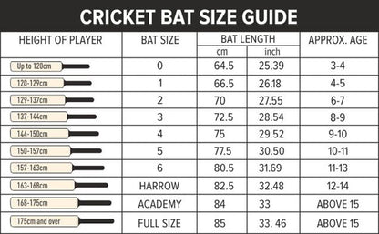 Intense Force Kashmir Willow Cricket Bat