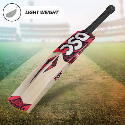 Intense Force Kashmir Willow Cricket Bat
