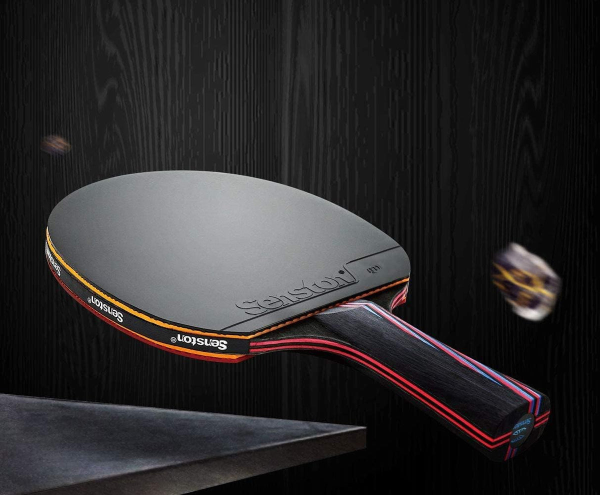 Professional Table Tennis Paddles Advance Intermediate Ping Pong Paddles Set of 2, Table Tennis Racket with Carry Case…